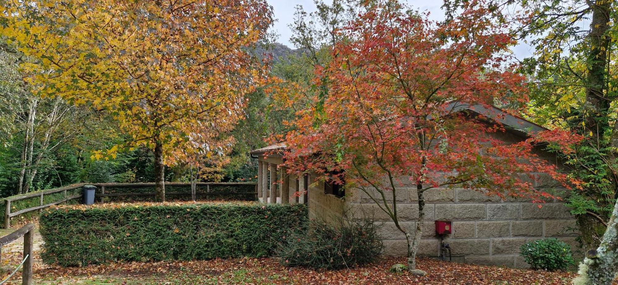 Apartment - Serra Do Geres