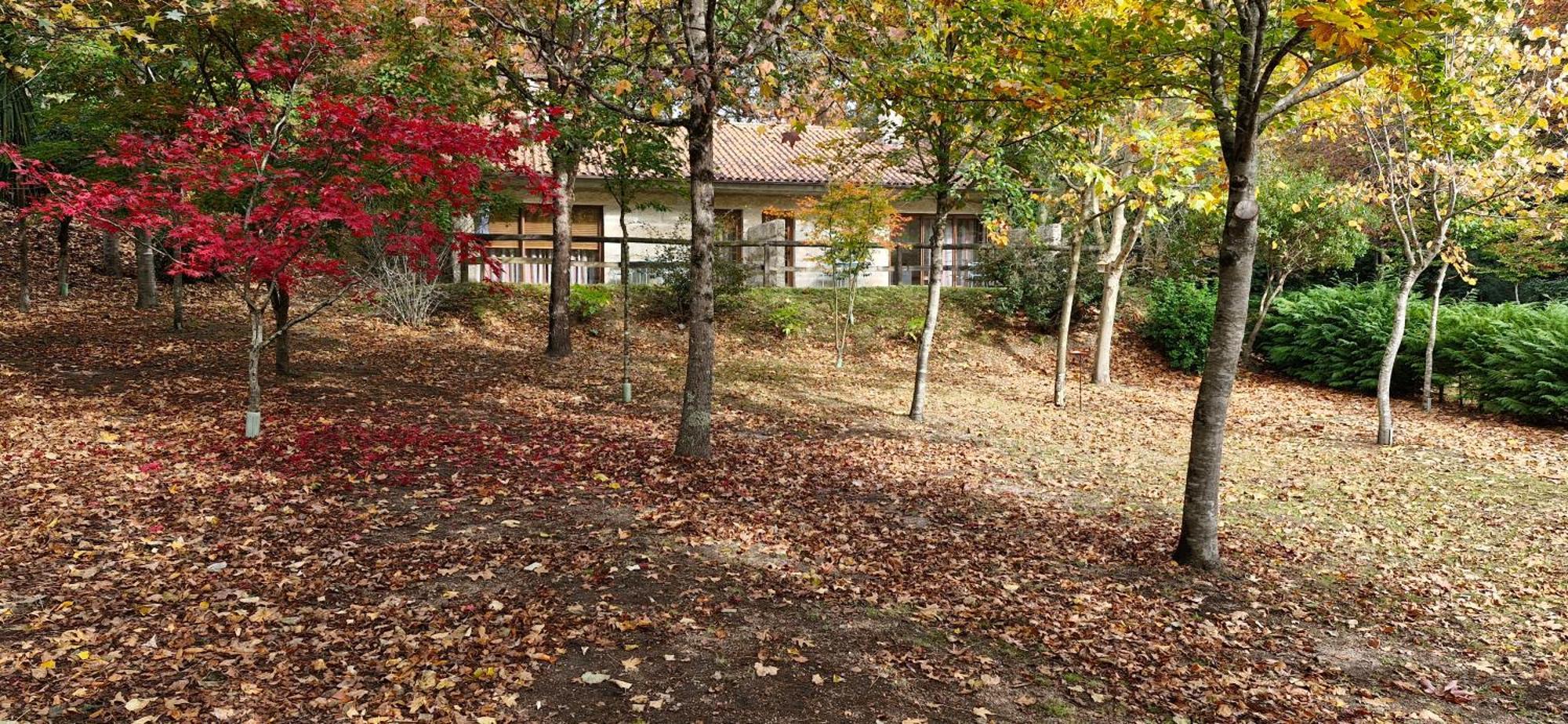 Apartment - Serra Do Geres Campo do Geres